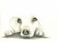 /album/dog-drawing/%e3%82%b9%e3%82%ad%e3%83%a3%e3%83%b30008%20%283%29-jpg/